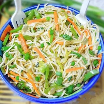 480Veg Hakka Chowmein